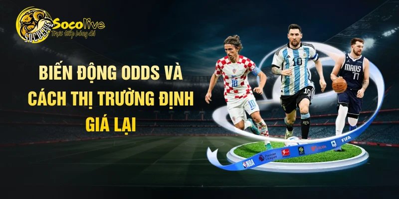 Biến động odds và cách thị trường định giá lại
