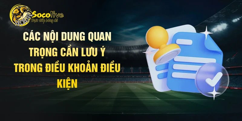 Các nội dung quan trọng cần lưu ý trong điều khoản điều kiện