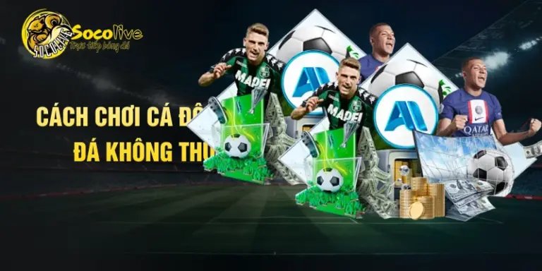 Cách chơi cá độ bóng đá không thua
