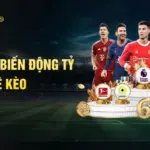 Cách đọc biến động tỷ lệ kèo