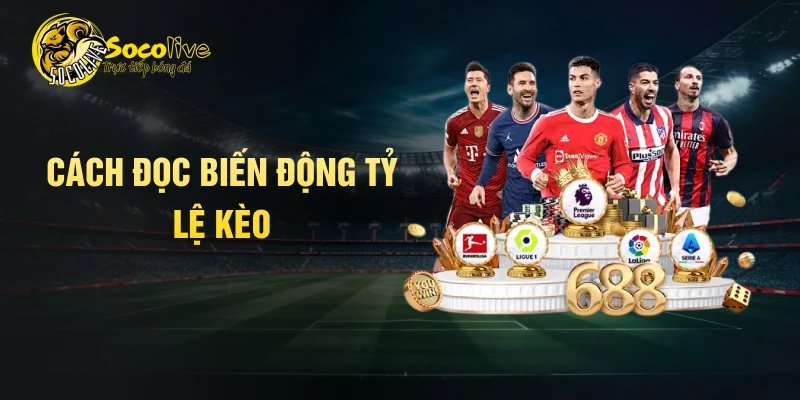 Cách đọc biến động tỷ lệ kèo