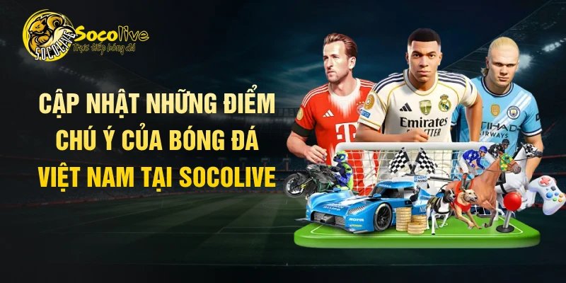 Cập nhật những điểm chú ý của bóng đá Việt Nam tại Socolive