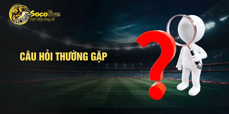 câu hỏi thường gặp