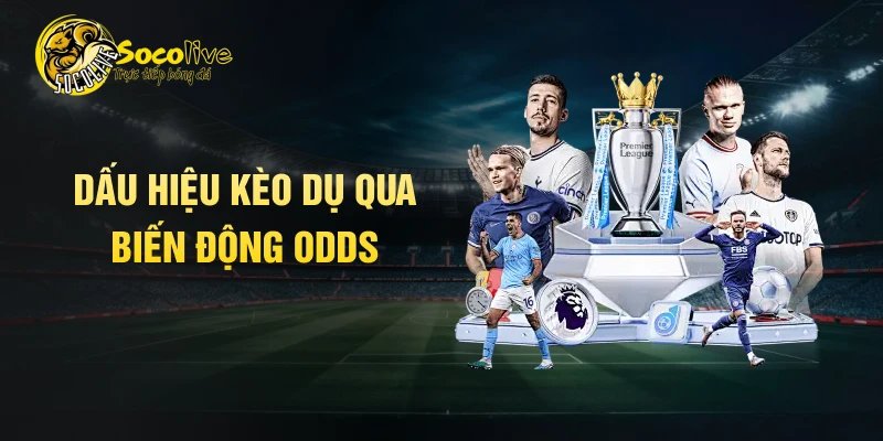 Dấu hiệu kèo dụ qua biến động odds