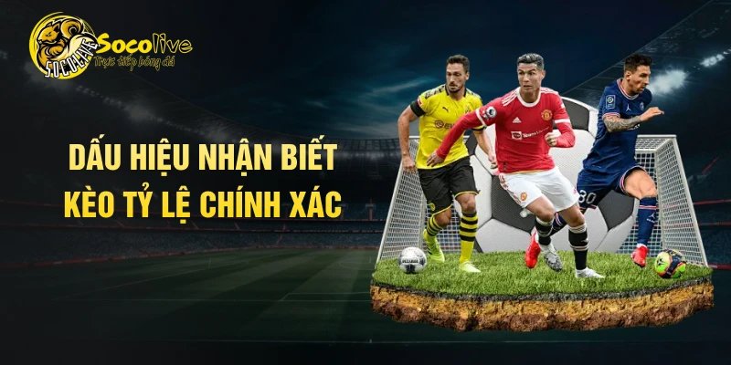 Dấu hiệu nhận biết kèo tỷ lệ chính xác