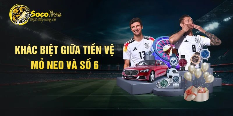 Khác biệt giữa tiền vệ mỏ neo và số 6