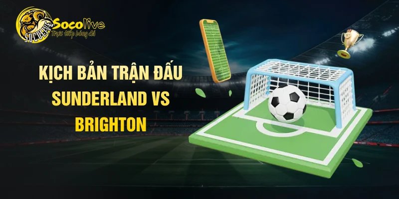 Kịch bản trận đấu Sunderland vs Brighton