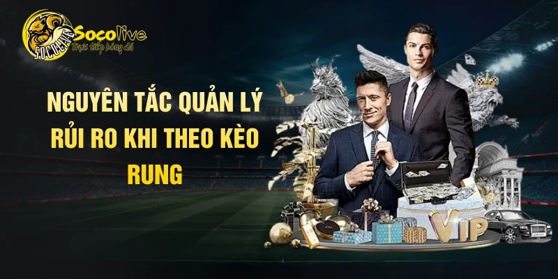 Nguyên tắc quản lý rủi ro khi theo kèo rung