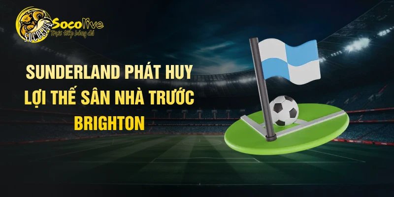 Sunderland phát huy lợi thế sân nhà trước Brighton