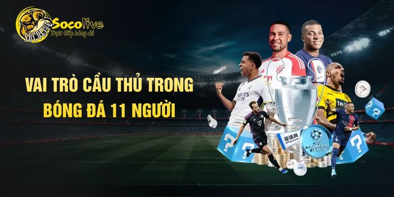 Vai trò cầu thủ trong bóng đá 11 người